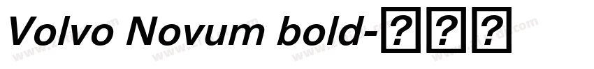 Volvo Novum bold字体转换 Volvo Novum bold字体转换